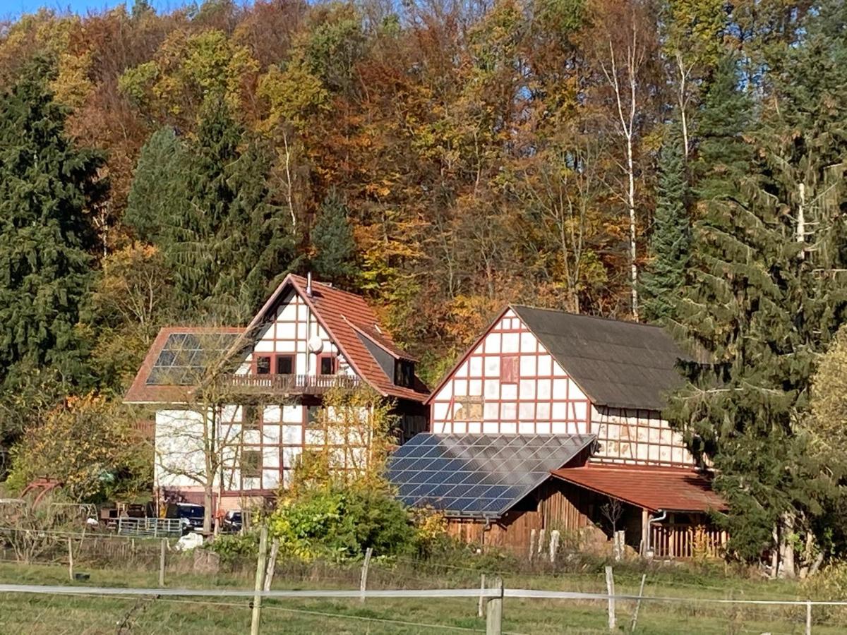 B&B Schwarzenborn - Große Ferienwohnung auf Pferdehof Mitten in der Natur - Bed and Breakfast Schwarzenborn