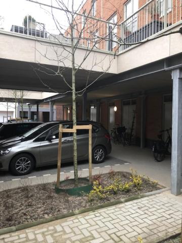 BenB Op de Trans, Arnhem op zijn best! - B&B Arnhem