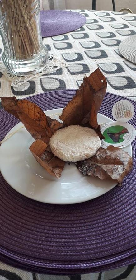 La Campagne de Lili - Chambre avec Cuisine privée - B&B