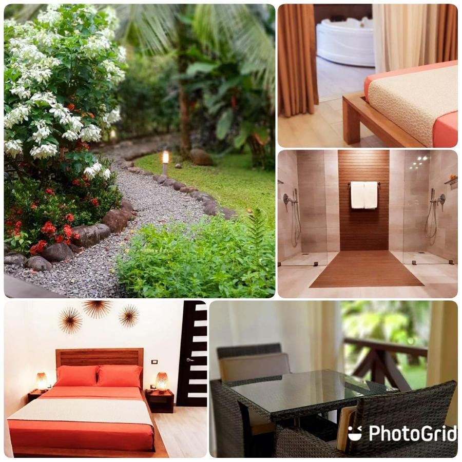 Room with Garden View