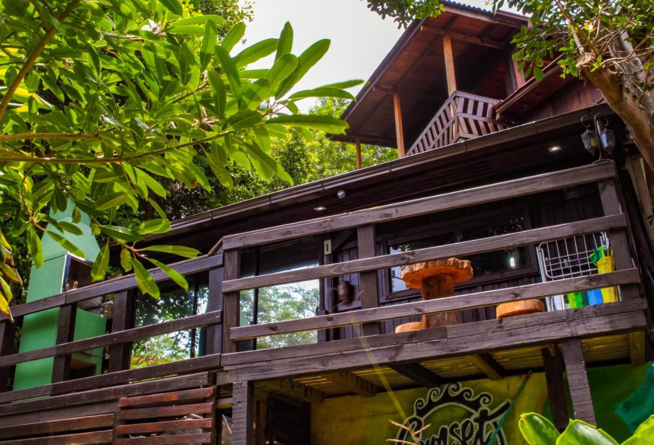 Sunset Strip Eco Apartments - B&B