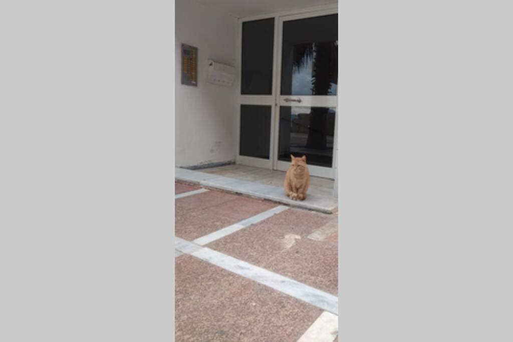 Captain's home loutraki - B&B