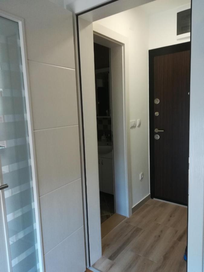 Apartment mit 1 Schlafzimmer