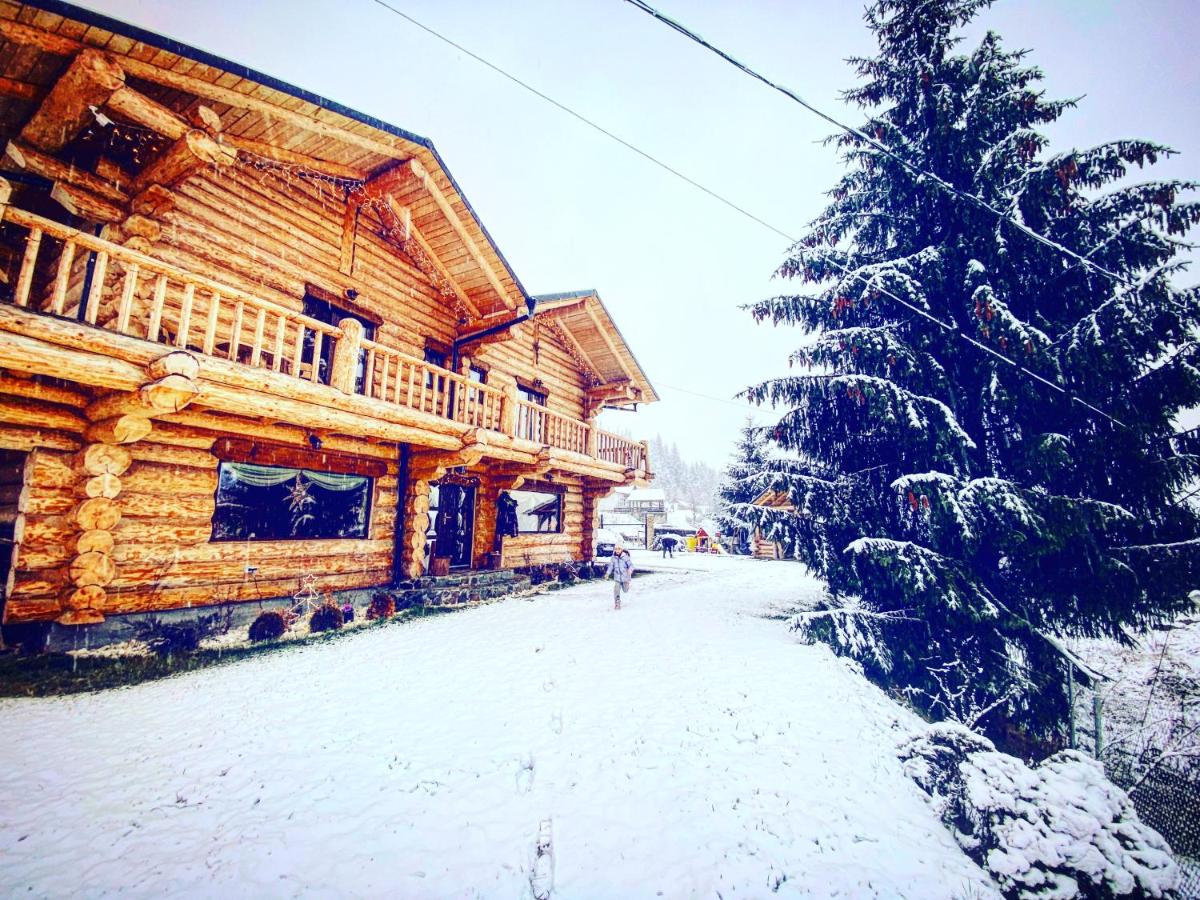 The Mountain's Sea Chalet - Chambres d’hôtes Colibița