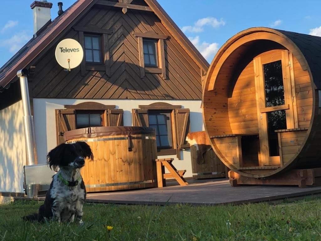 Lesne Domki VIP - Ferienwohnung Prokowo