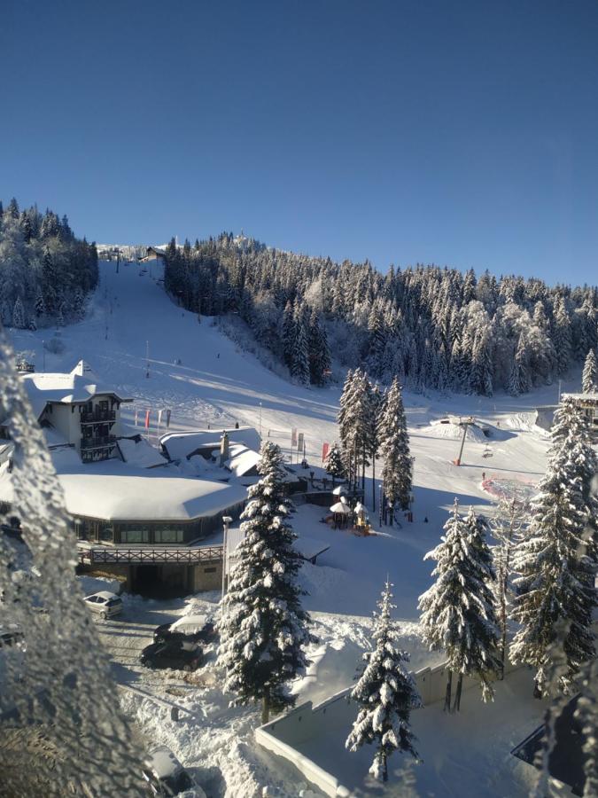 Apartman Lena - Olimpijska kuća Jahorina - B&B Jahorina