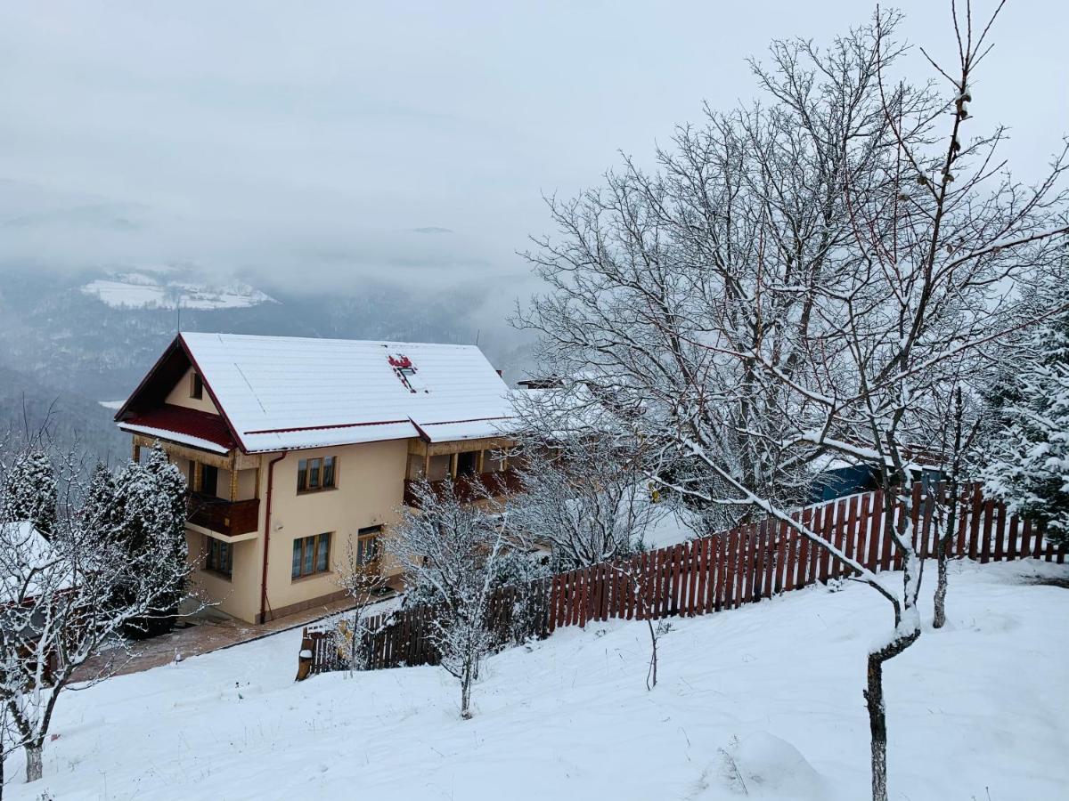 B&B Someşu Rece - Cabana Muntele Paltinei - Bed and Breakfast Someşu Rece