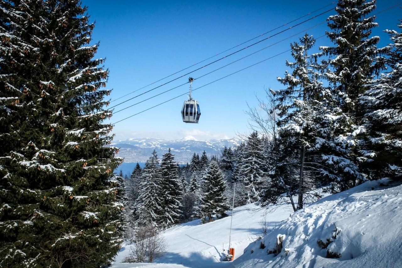 Balcony of lake Geneva - Chambres d’hôtes Thuellin