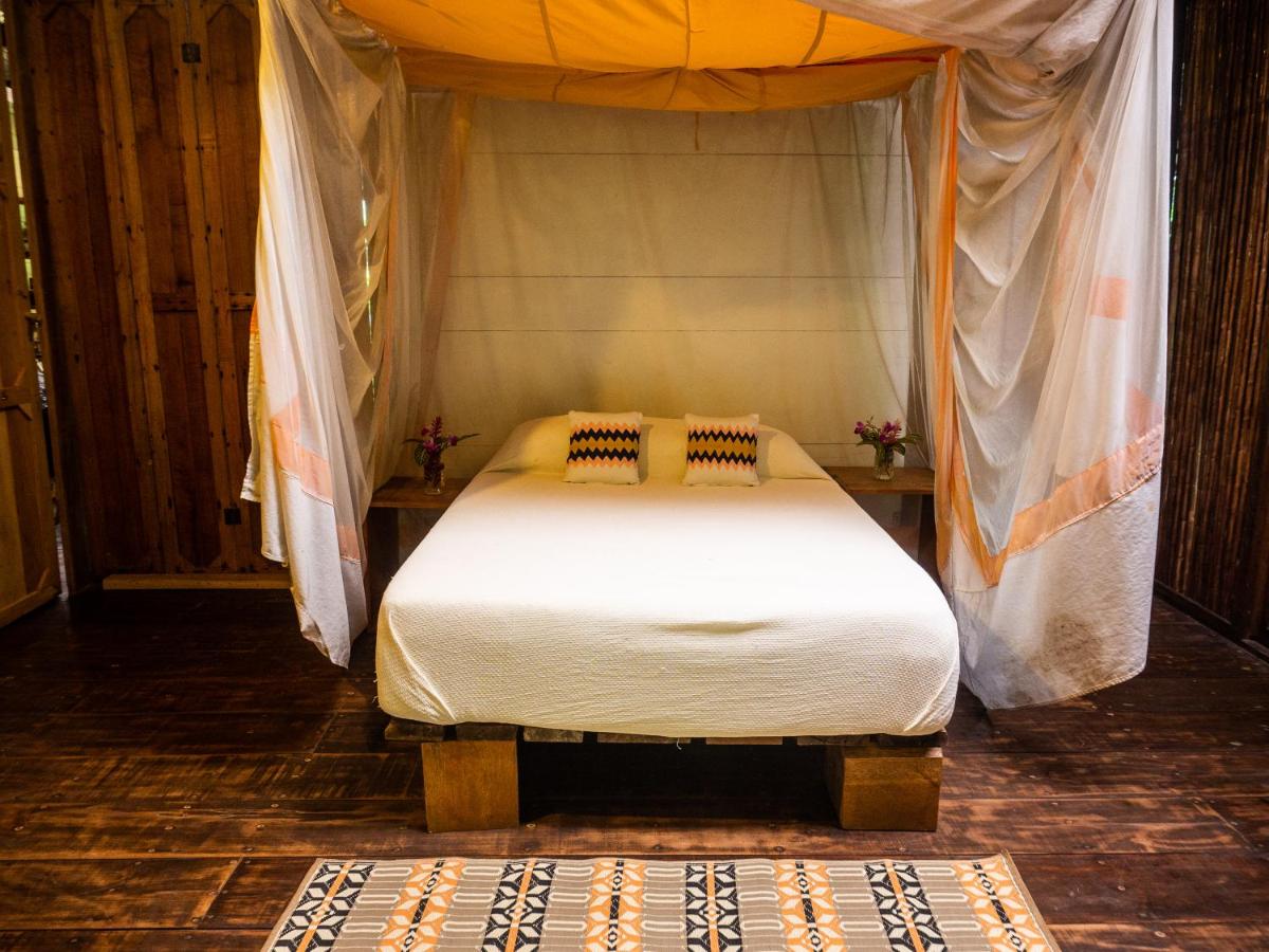 La Loma Jungle Lodge and Chocolate Farm - B&B