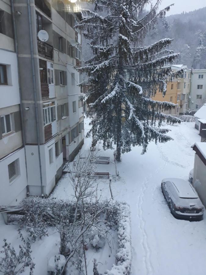Apartament Aurora - B&B