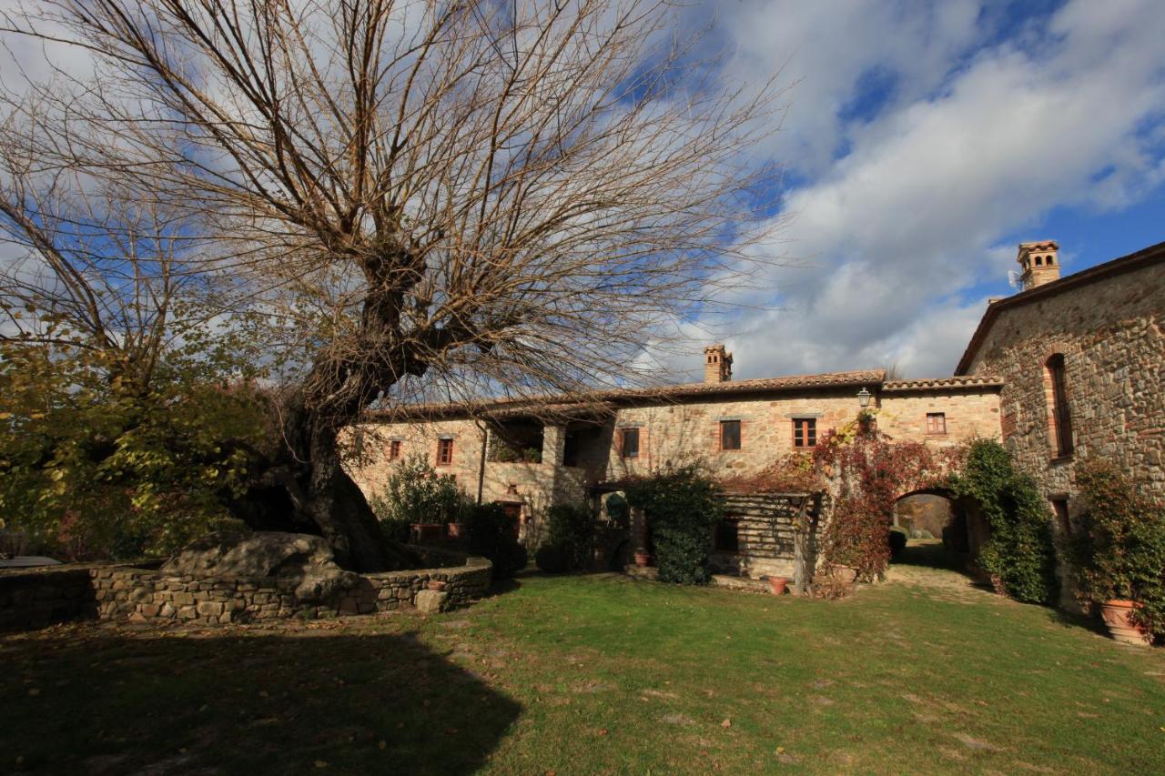 B&B Todi - Antico Gelso - Bed and Breakfast Todi