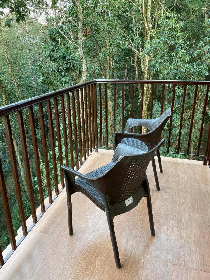 Deluxe Double or Twin Room with Mountain View