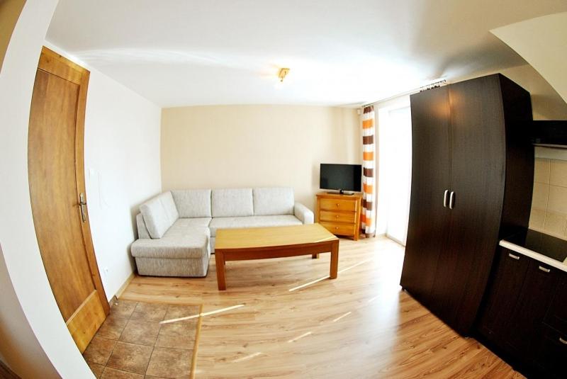 Large One-Bedroom Apartment with Balcony