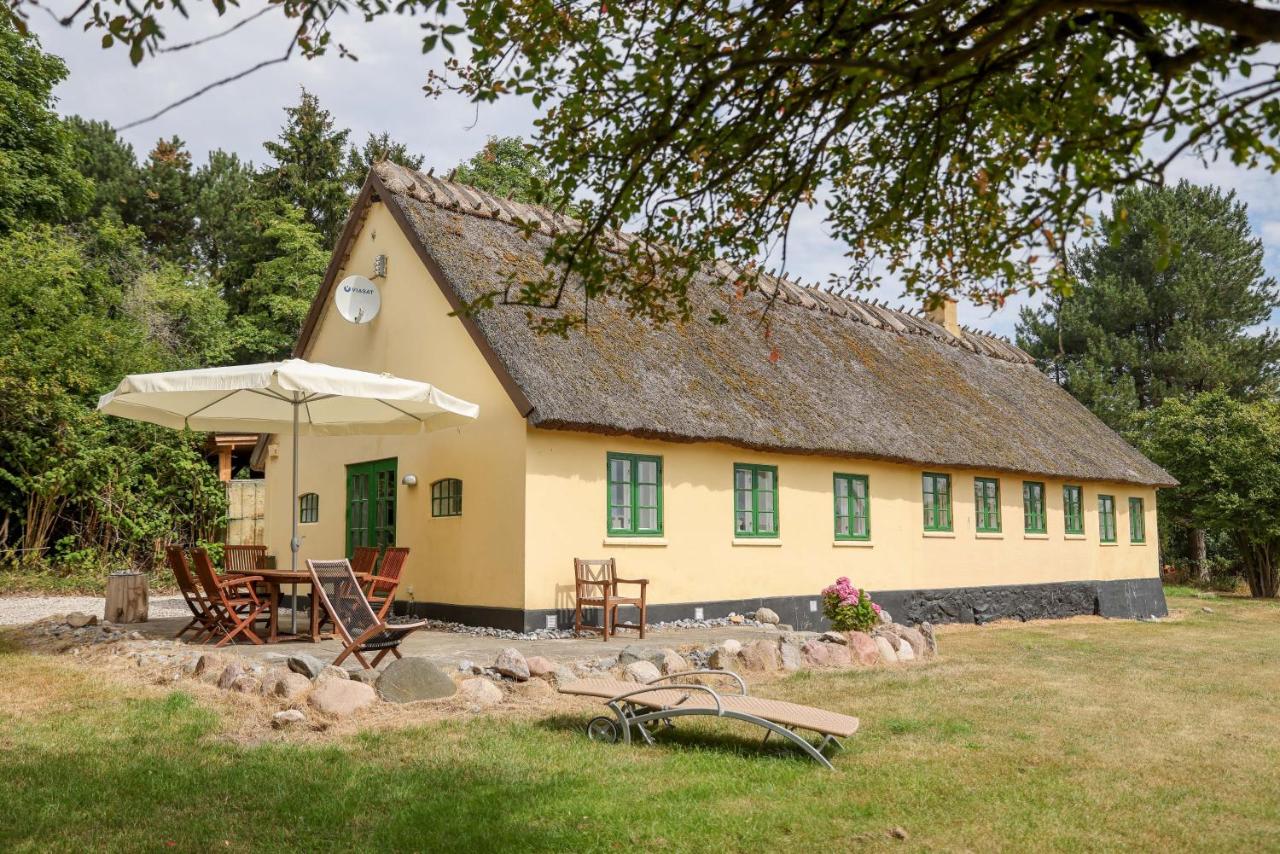 B&B Borre - Sandet - Bed and Breakfast Borre