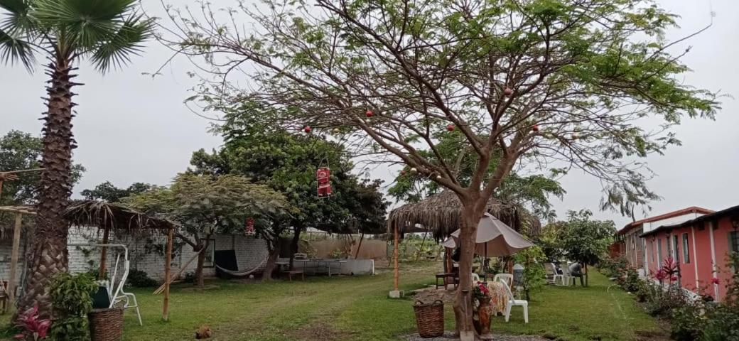 La Viña de OsCar - Ferienwohnung