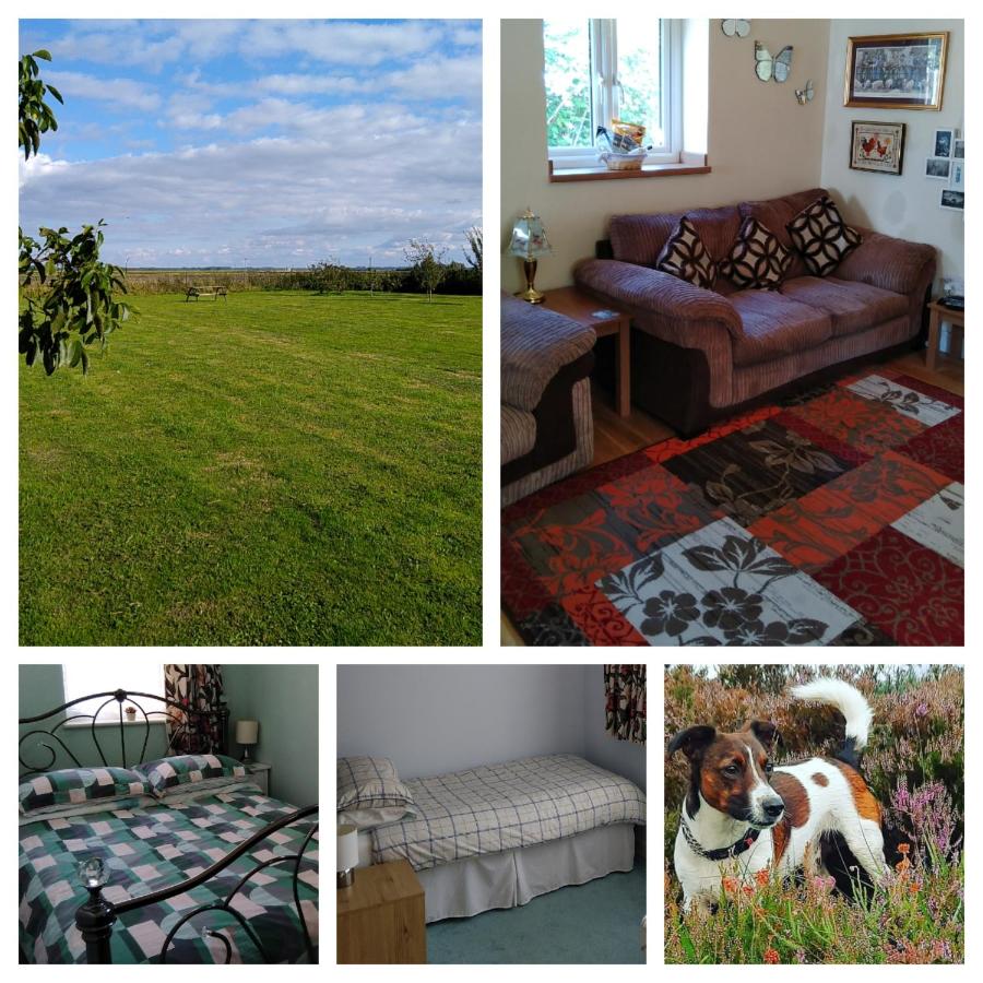 B&B Wisbech - Little Owls Nest Holiday Home - Bed and Breakfast Wisbech