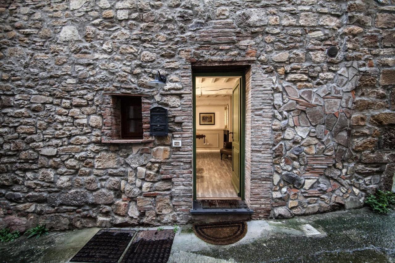 Accogliente Appartamento sulle Colline Toscane - Bed and Breakfast
