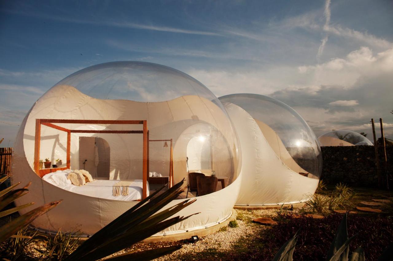 B&B Cabarete - Green Land Bubble Glamping - Bed and Breakfast Cabarete