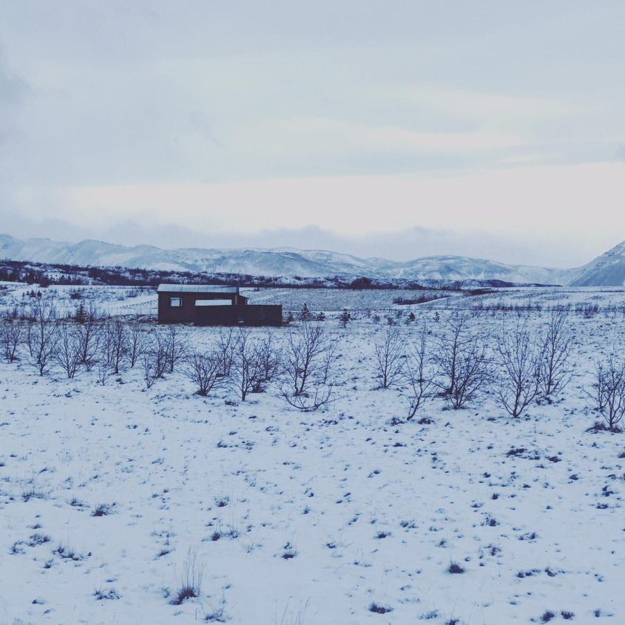 Hekla Nordicabin - Wild Cottage - Bed and Breakfast