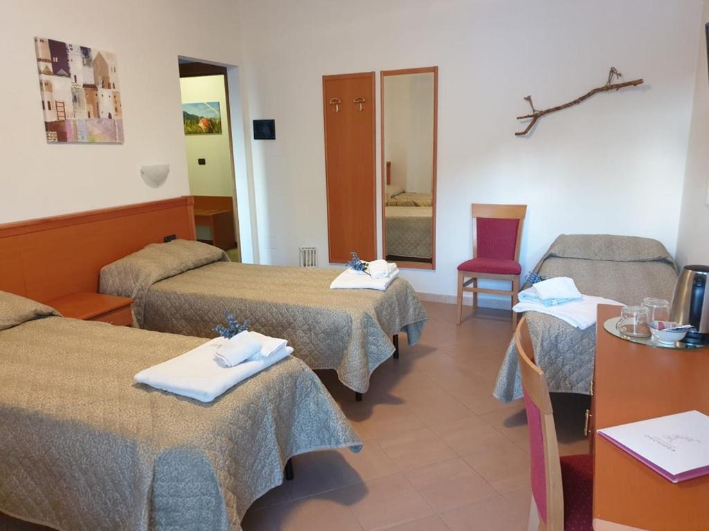 Large Double or Twin Room