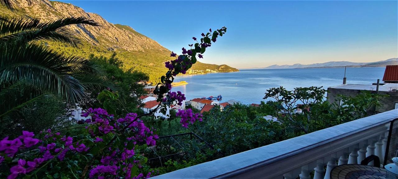 ĆOSIĆ APARTMANI IGRANE - Ferienwohnung Igrane