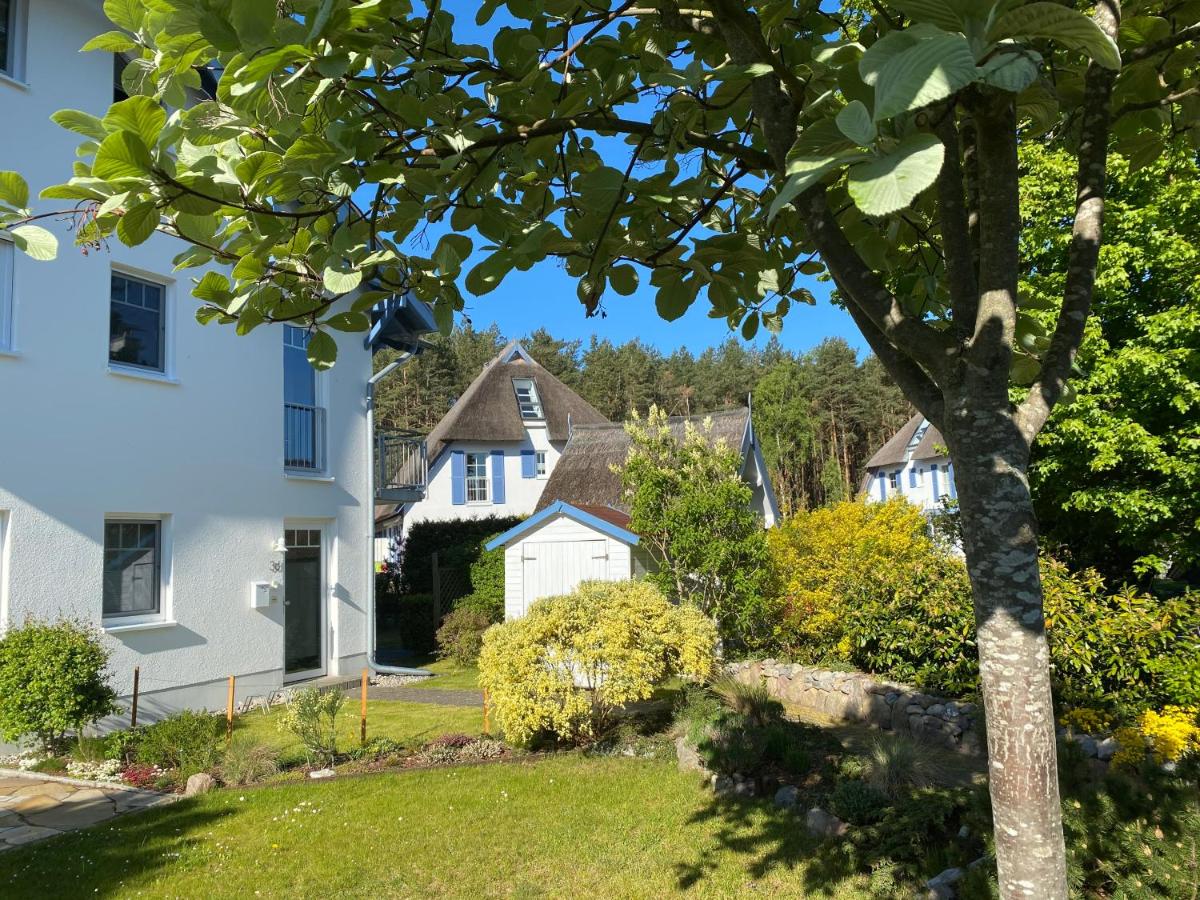 Dünenresidenz Karlshagen - Ferienwohnung Ginsterweg - B&B
