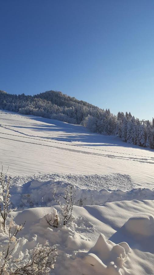 Appartement - Begane Grond