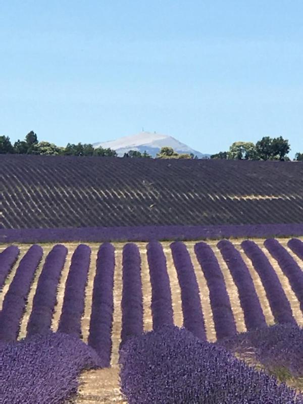 Villa au pied du Ventoux - B&B
