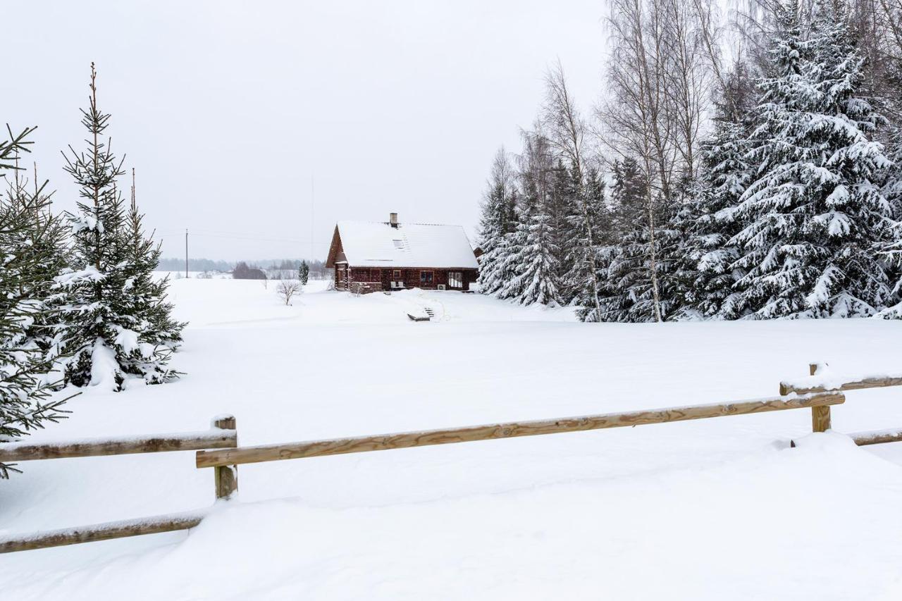 RosenHausen Puhkemajad - B&B Puugi