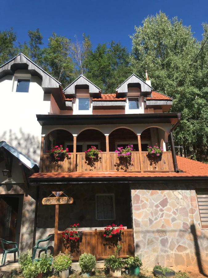 Kuca za odmor ,,Balkan” - Chambres d’hôtes Crni Vrh