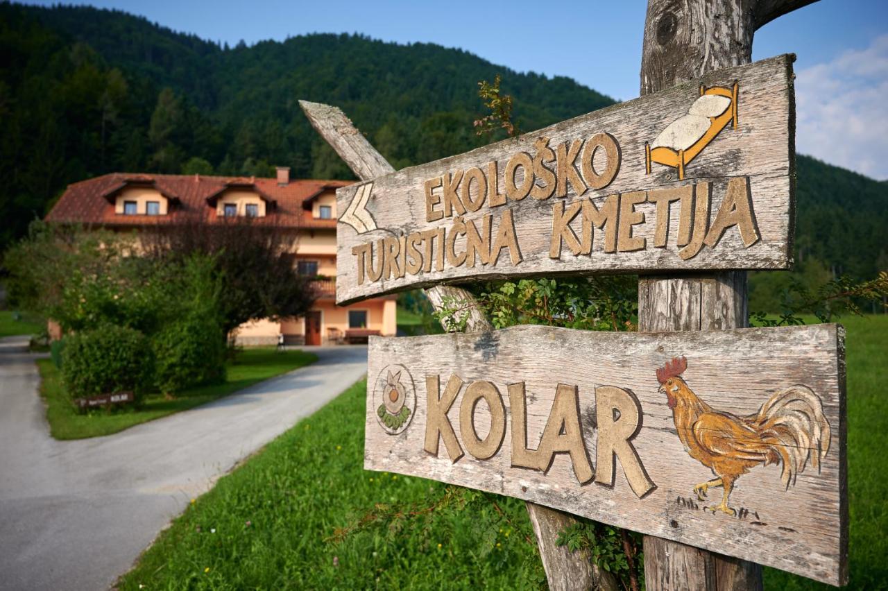 Tourist farm Kolar - B&B Ljubno
