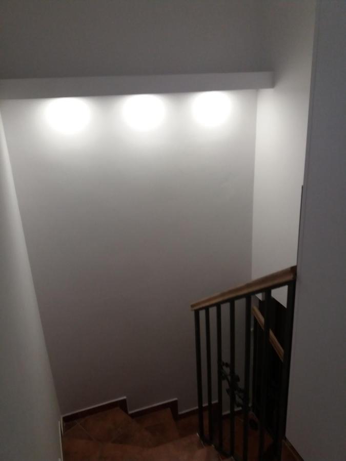 APARTMANI Emerald Dream - Chambres d’hôtes Novi Sad