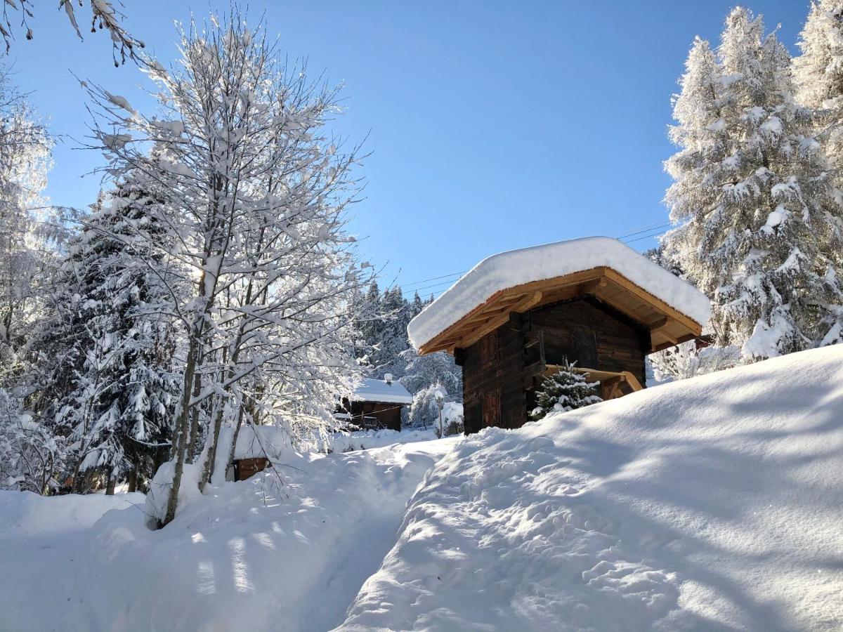 Chalet Mountain Vibes - B&B