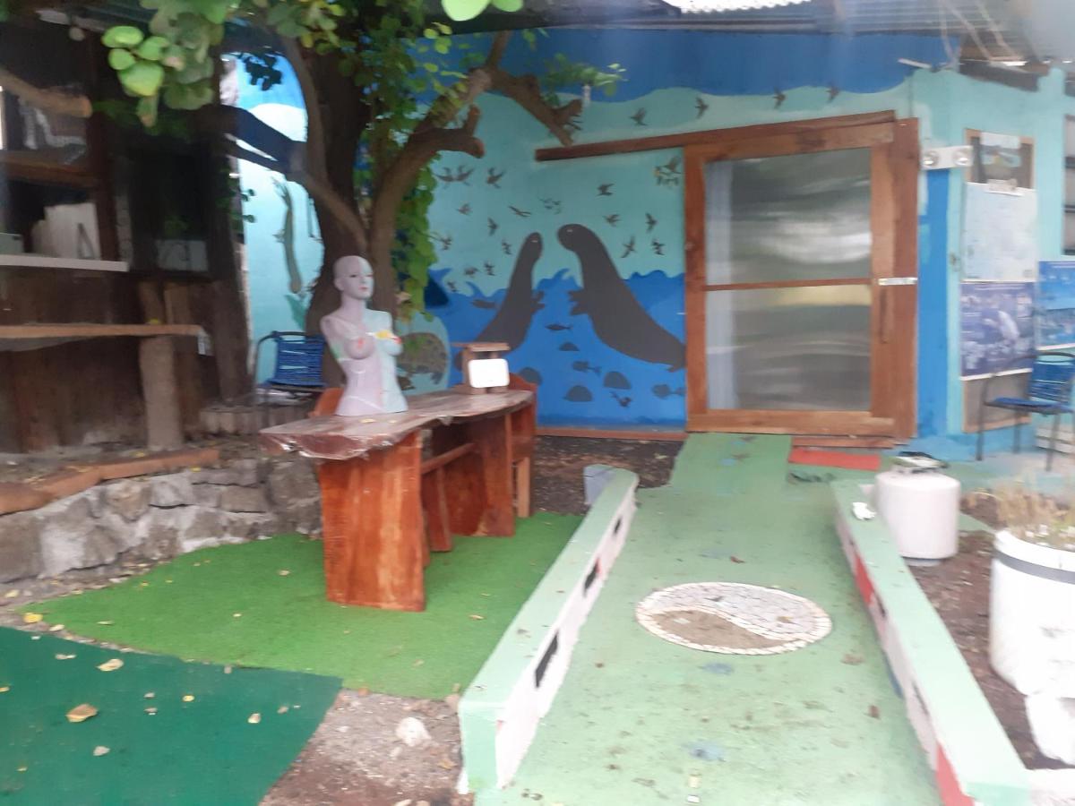 Cozy Hosting Galapagos - B&B