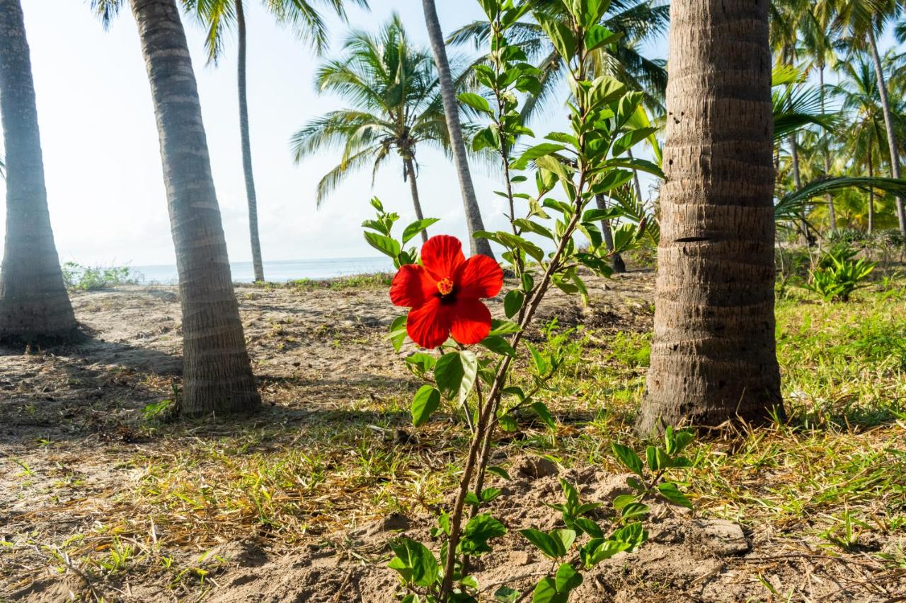Hibiscus Beach House - Chambres d’hôtes Pangani