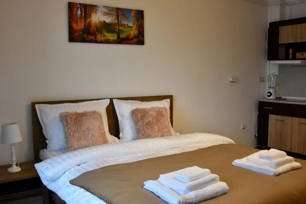 B&B Baia Mare - Pricop Residence - Bed and Breakfast Baia Mare