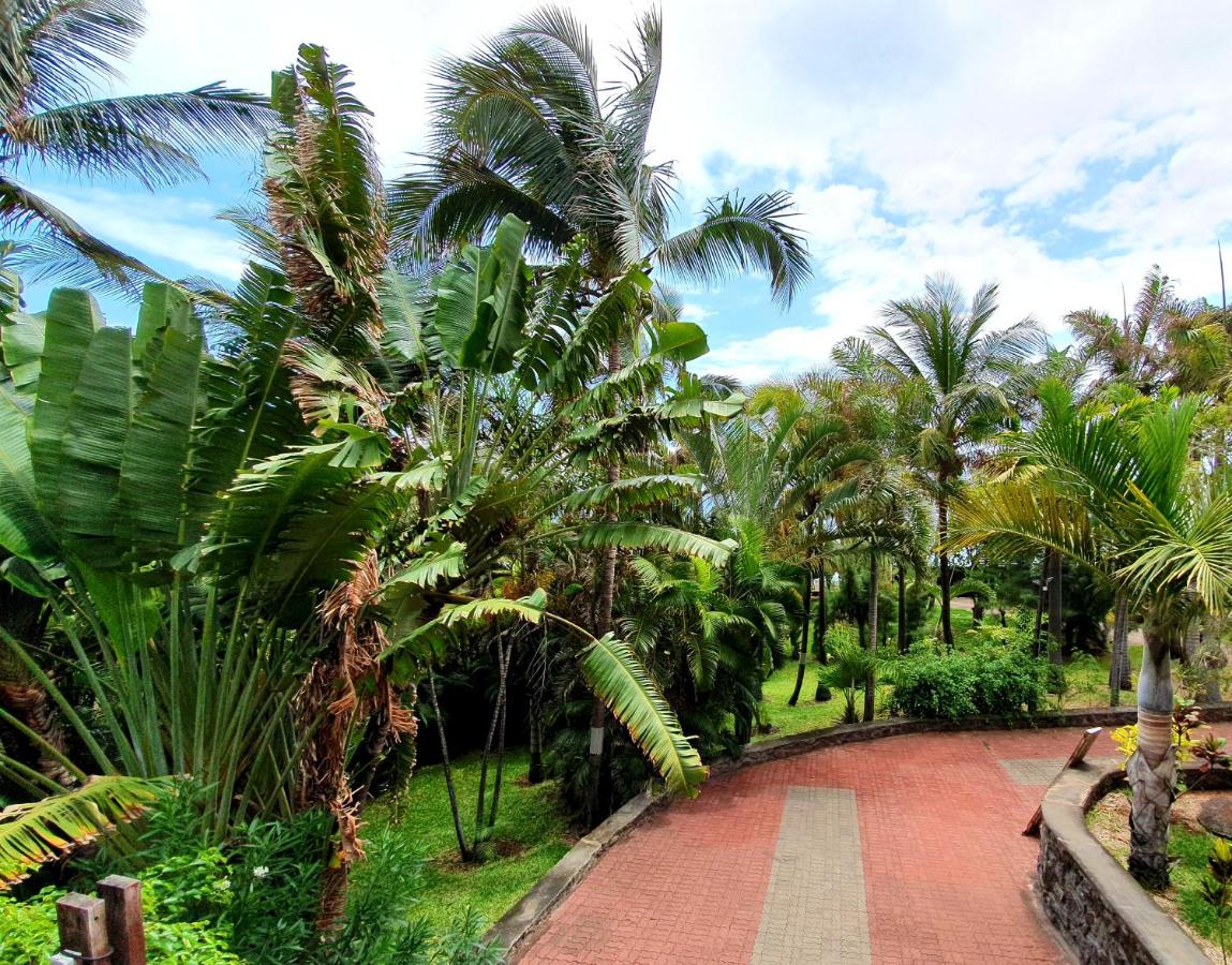 Loc974 Les Cocotiers - B&B