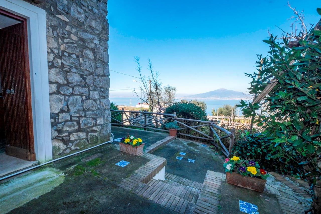Apartment with Garden View