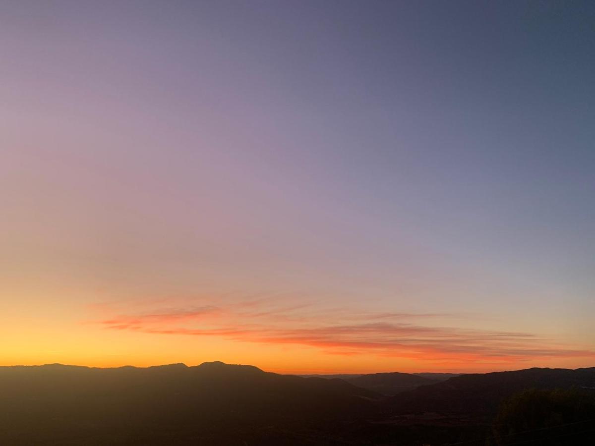Appartamento con 1 Camera da Letto e Terrazza