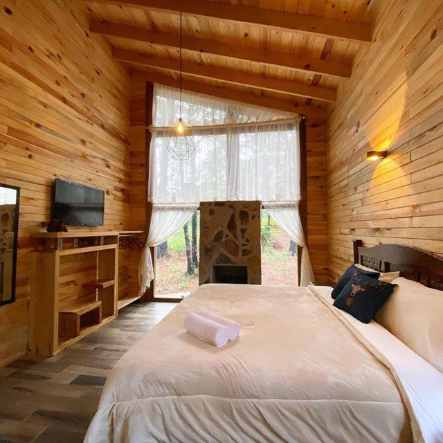 Chalet 1 Chambre