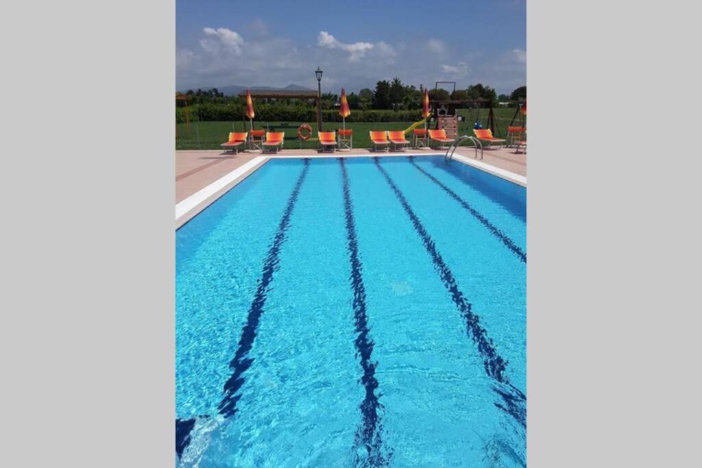 Ampio appartamento con piscina in prossimità del mare - Chambres d’hôtes Vada