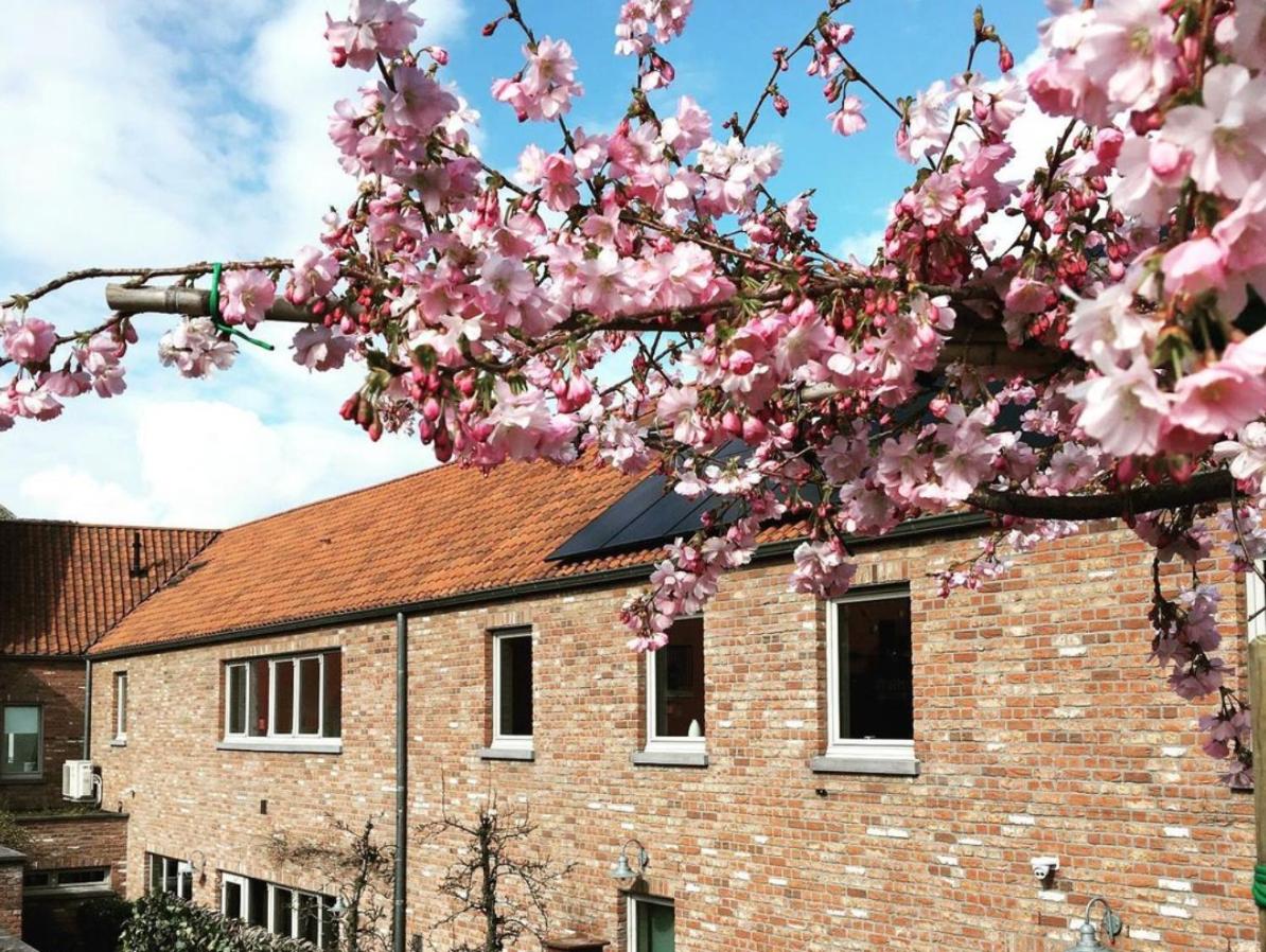 Kirisavan Bed&Breakfast - B&B Borgloon