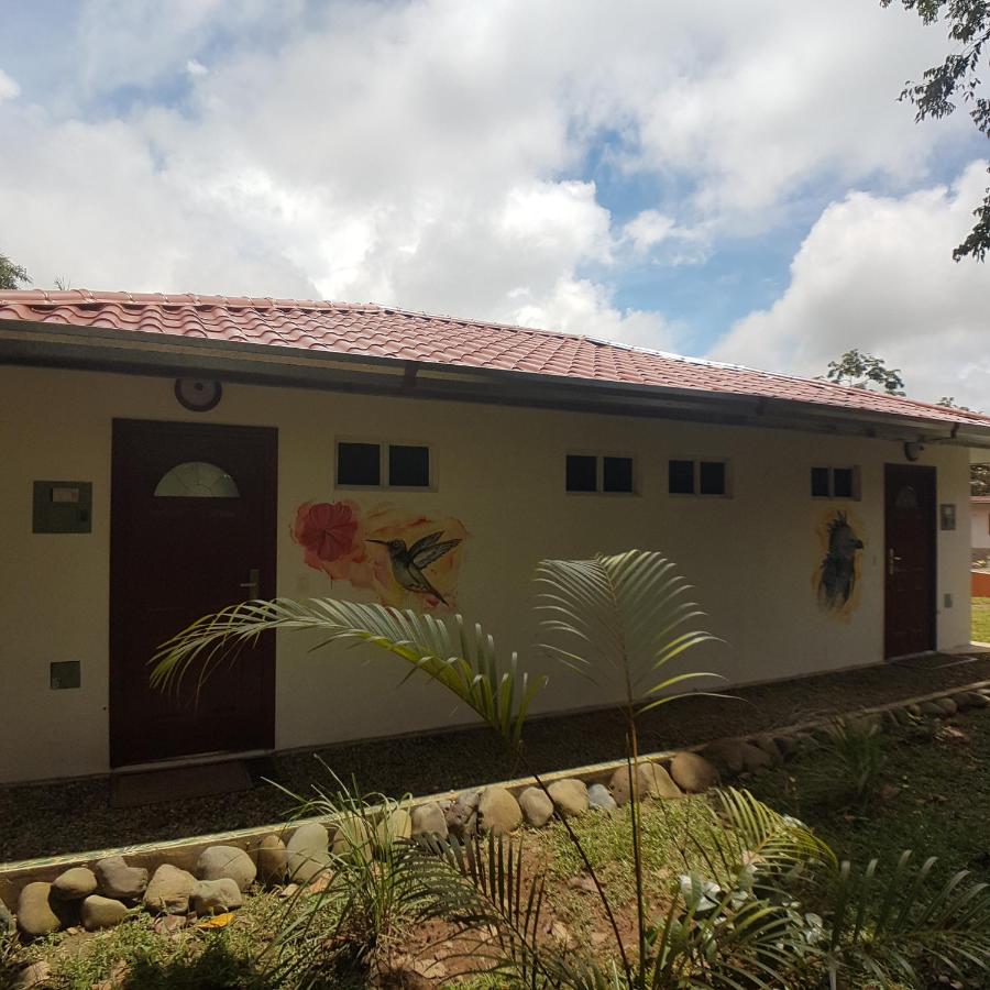 Magic Mountain Lodge - B&B