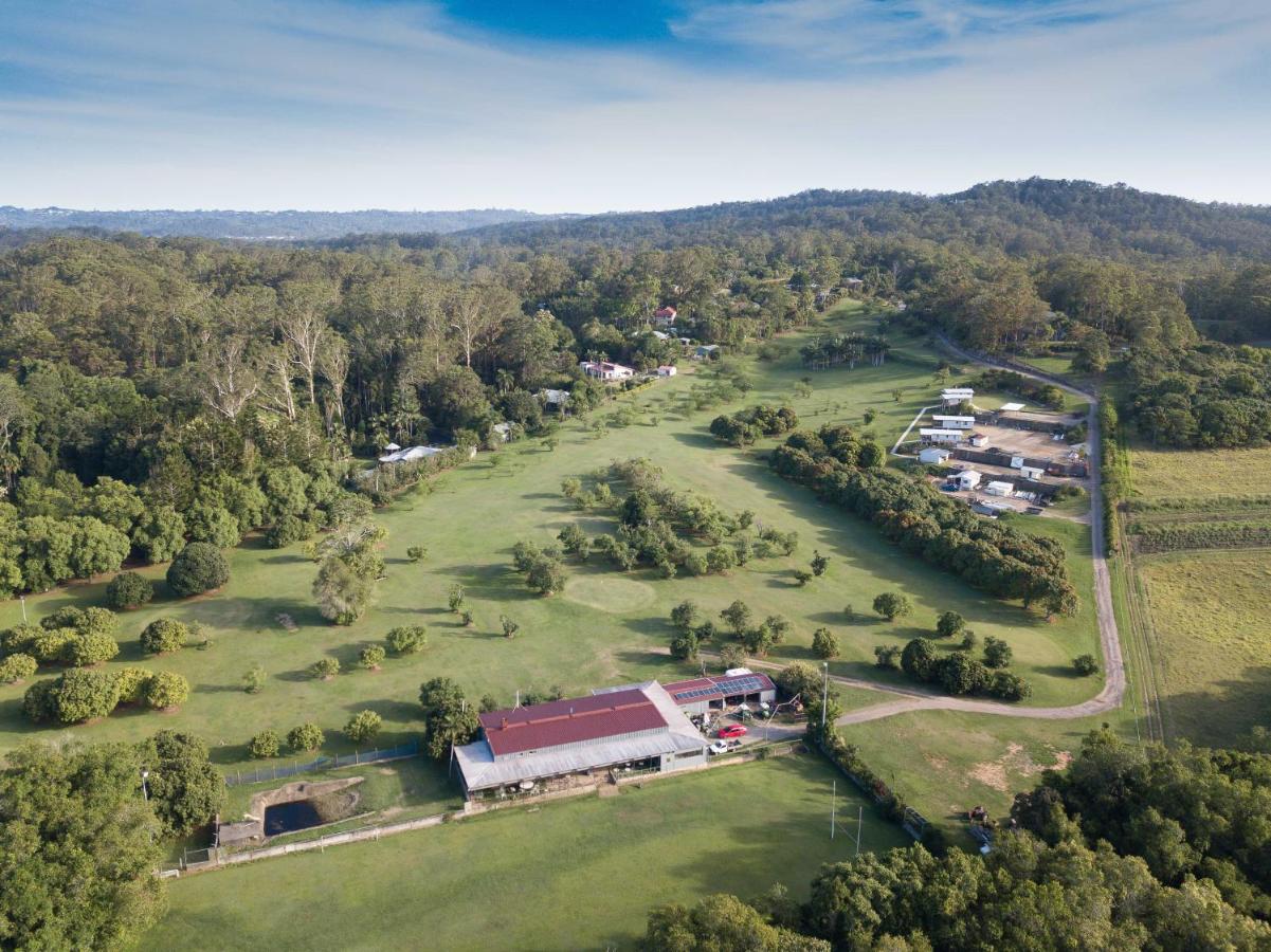 B&B Diddillibah - Sunshine Coast retreat your own private golf course - Bed and Breakfast Diddillibah