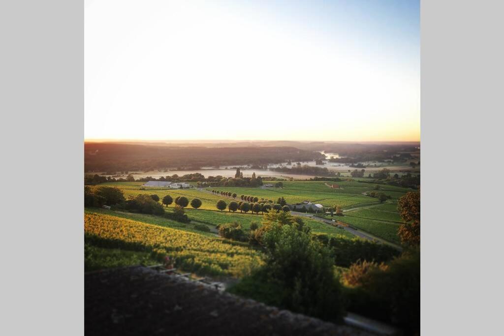 Vue panoramique sur le vignoble - 1D Rue Porte Oison, 18300 Sancerre - B&B Sancerre