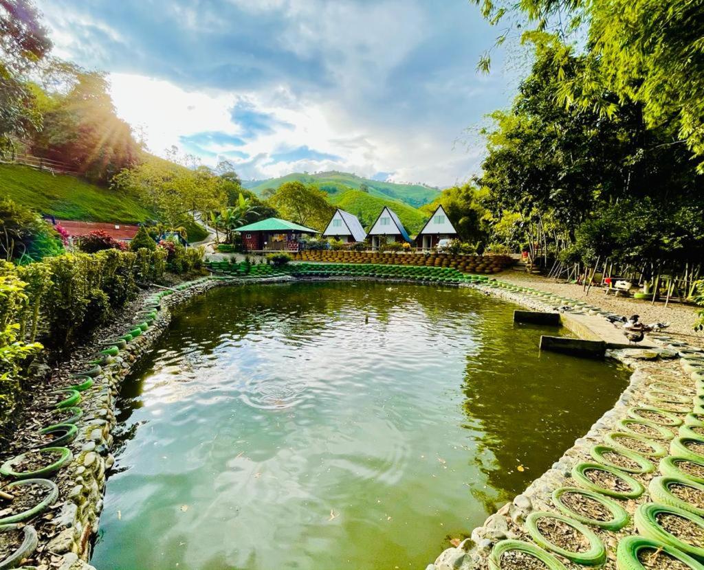 Glamping La Cabanita Santuario - B&B La Cortés