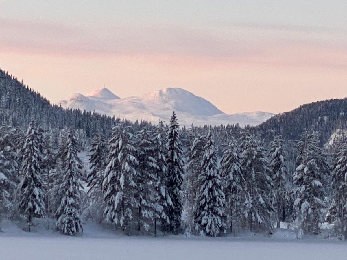 Tuddal Hyttegrend, GAMLESTUGU, Telemark - B&B Tuddal