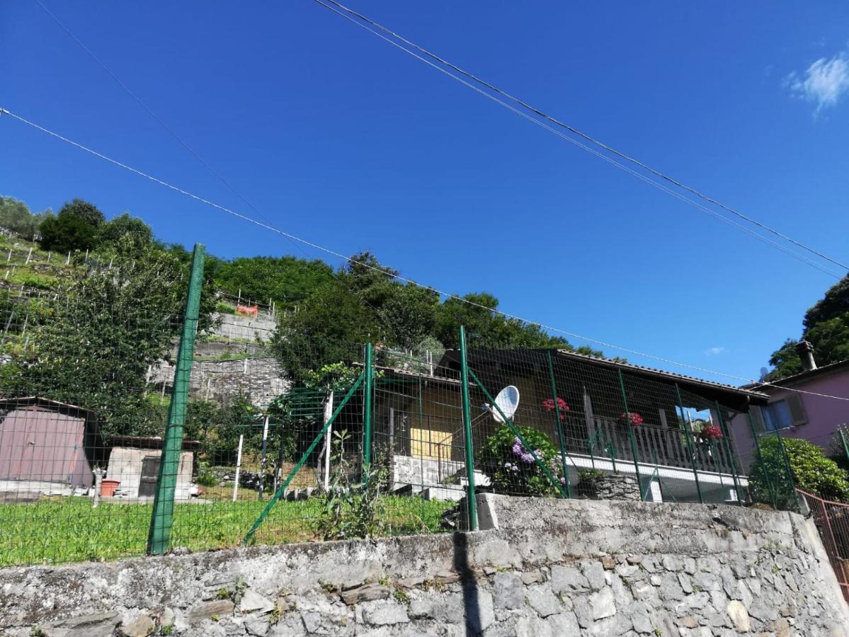 Casa Lella - B&B Domaso