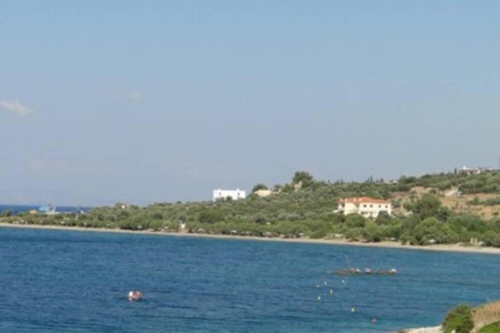 Seaside Villa AndroNikos (Evia Island) - B&B