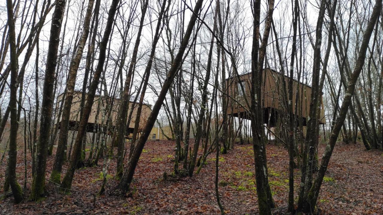 Cabanas das Chousas - B&B Lugo